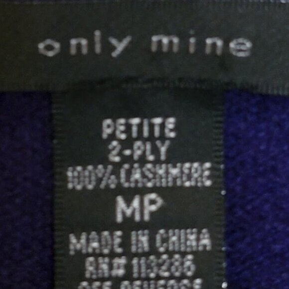 Only Mine 2-Ply Cashmere V-Neck Sweater – Size MP (Petite Medium) | Jewel Purple - Picture 8 of 8